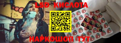 шишки Северобайкальск
